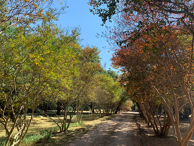 Gardens & Activities Area